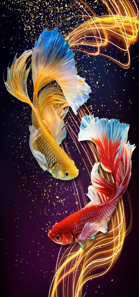 浮雕花 九鱼 彩带 金鱼 玄关图片