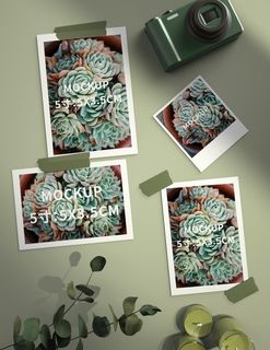 照片相册样机图片