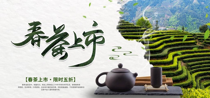 春茶上市图片(3543x1772)psd模版下载