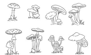 手绘菌菇蘑菇香菇野生山珍矢量图图片