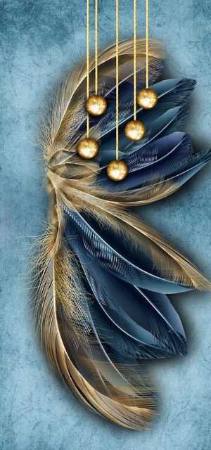 羽毛珍珠玄关图片