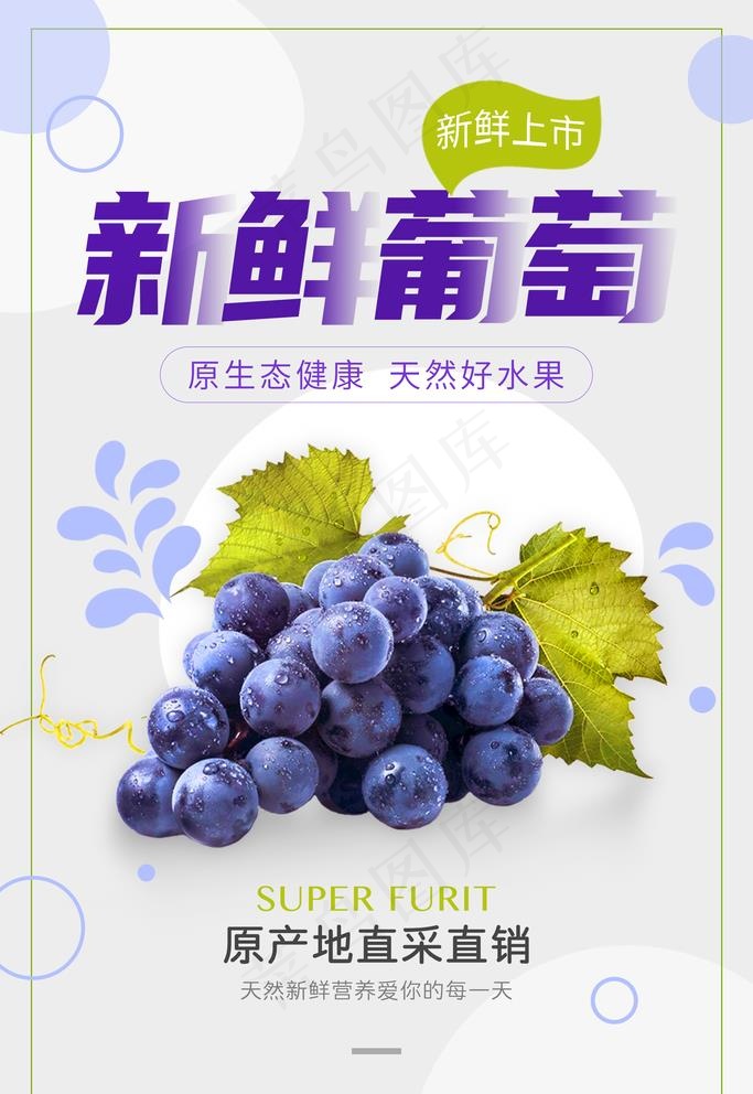 葡萄  图片