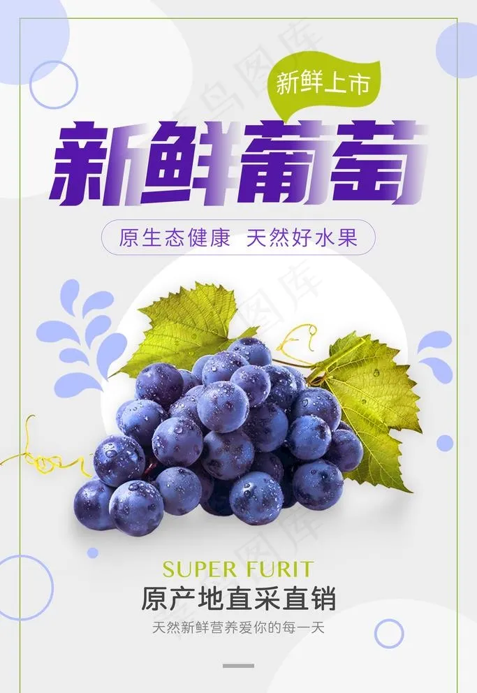葡萄  图片psd模版下载