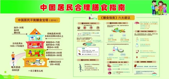 膳食指南图片