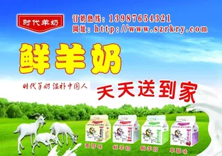 鲜羊奶宣传单图片