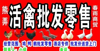 活禽招牌图片