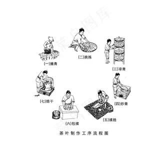 茶叶制茶工序图片