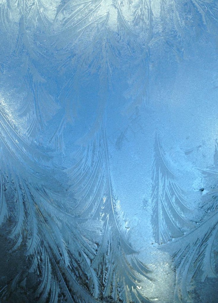 冰霜 雪景 雾凇图片