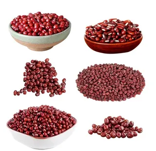 红豆图片