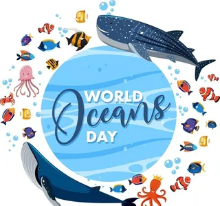 卡通海洋生物   图片