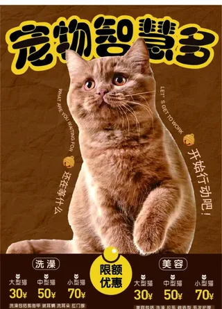 宠物海报图片
