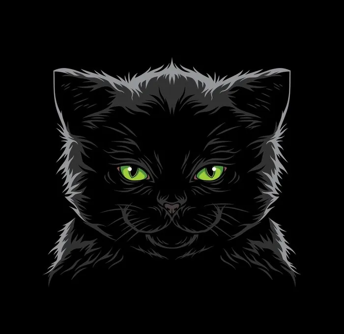 小猫图片