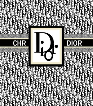 大牌方巾 迪奥图片