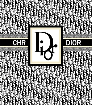 大牌方巾 迪奥图片