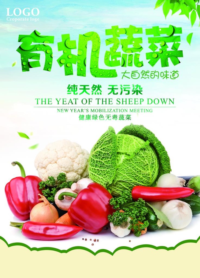 蔬菜水果 水果蔬菜 蔬菜海报图片