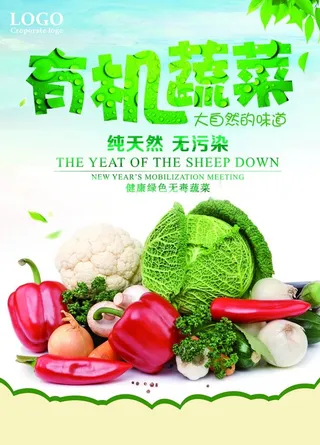 蔬菜水果 水果蔬菜 蔬菜海报图片