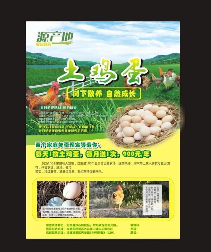 土鸡蛋宣传单图片cdr矢量模版下载