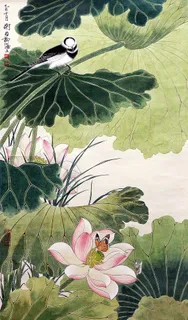 荷花小鸟图片 荷花小鸟图片