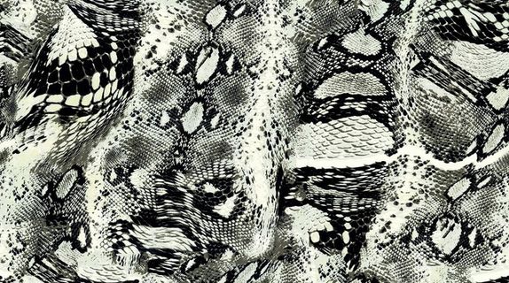 蛇纹豹纹豹点图片