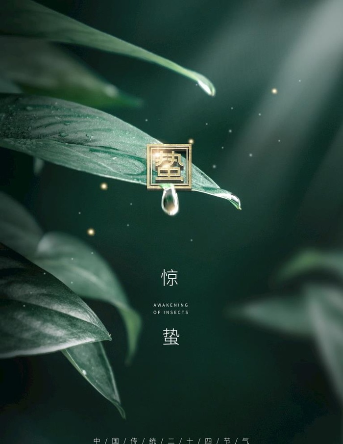 雨水图片(3543x4724)psd模版下载