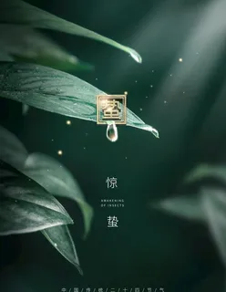 雨水图片
