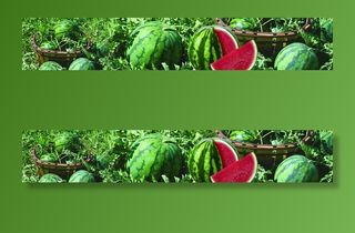 西瓜   卖西瓜图片