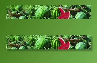 西瓜   卖西瓜图片