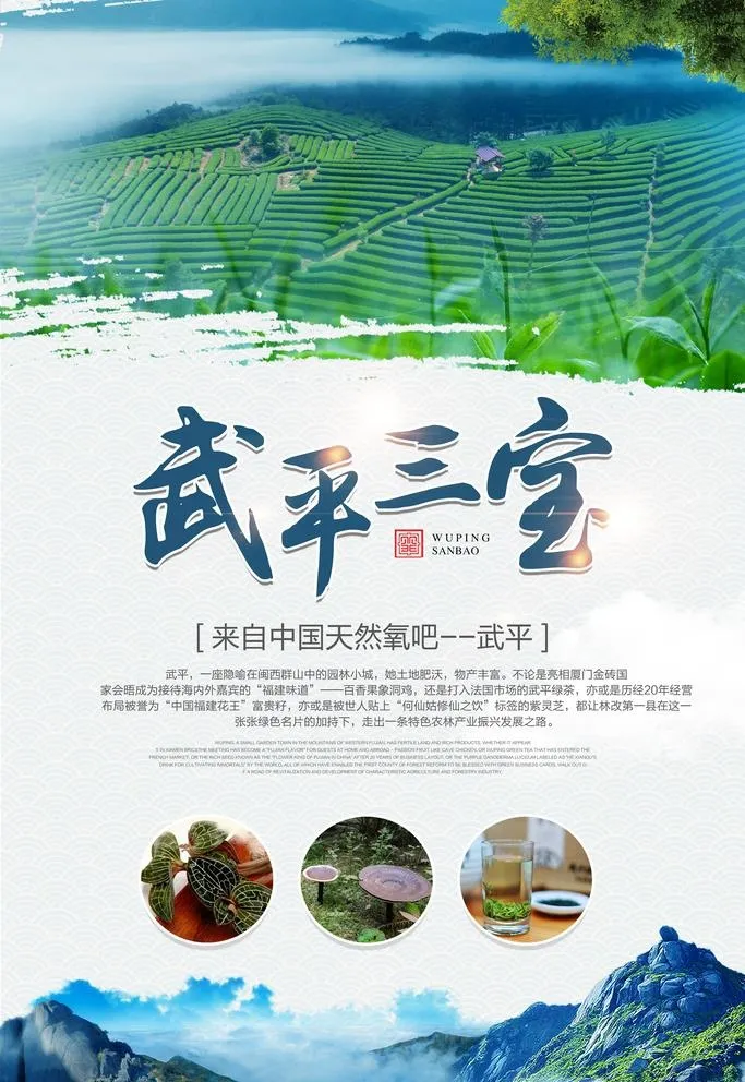 武平特产海报图片(3543x5315)psd模版下载