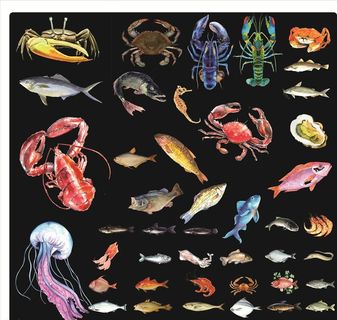 手绘生鲜矢量图图片