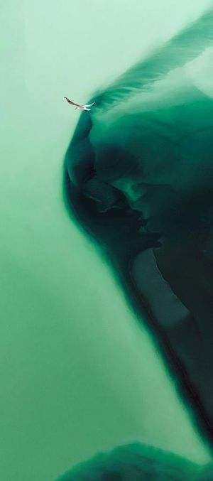 质感绿色背景图片