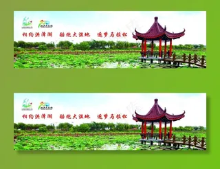 洪泽湖湿地图片