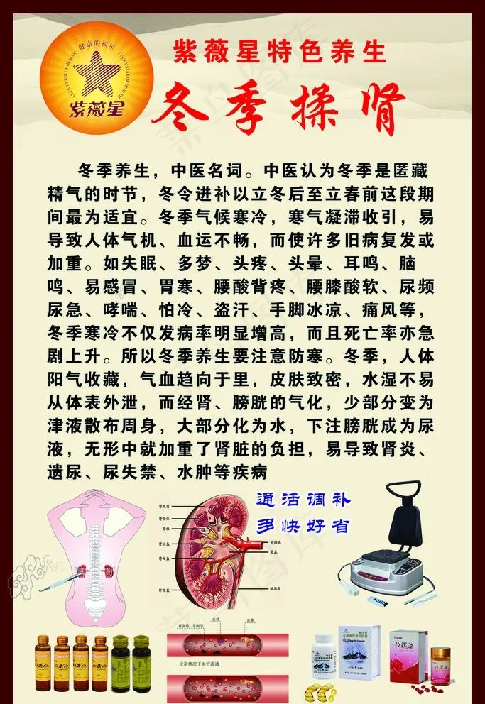 紫薇星 冬养肾图片(1772X2657(DPI:75))psd模版下载