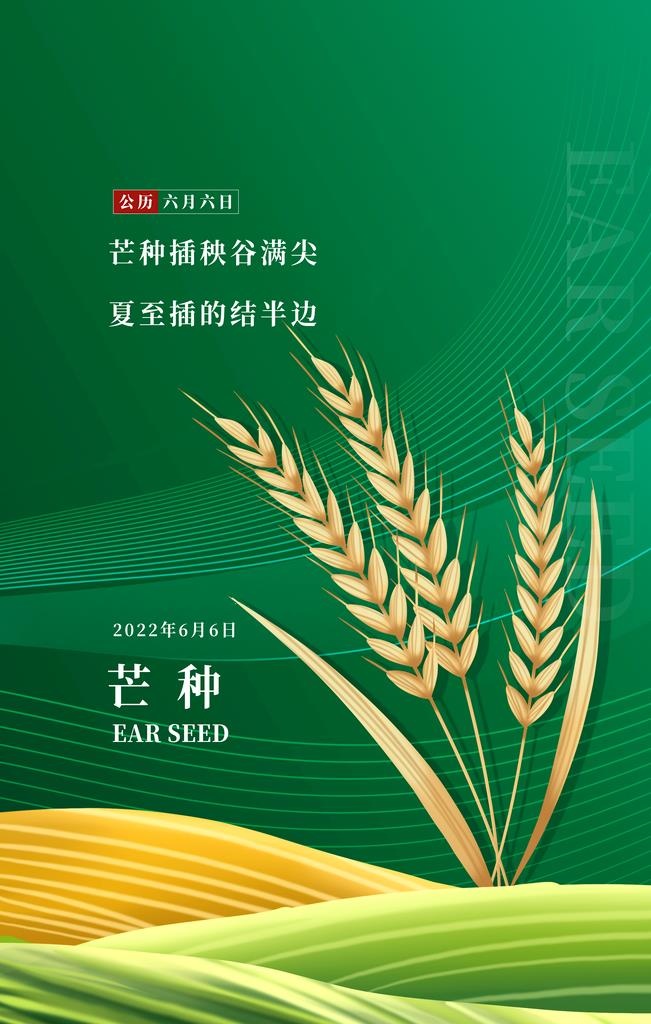 芒种海报图片(3543x5315)psd模版下载