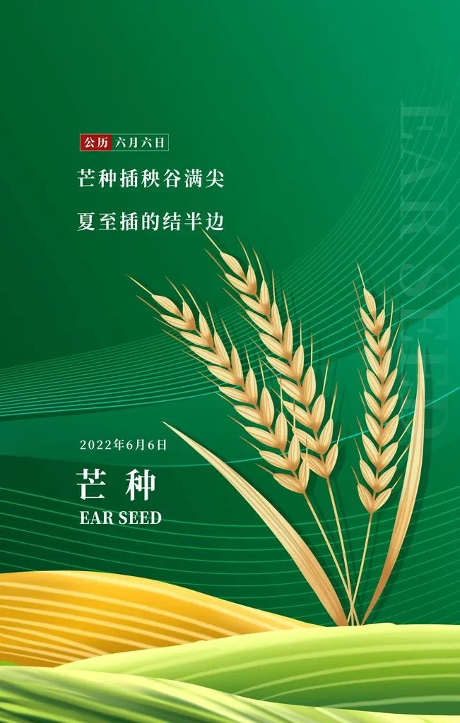 芒种海报图片(3543x5315)psd模版下载