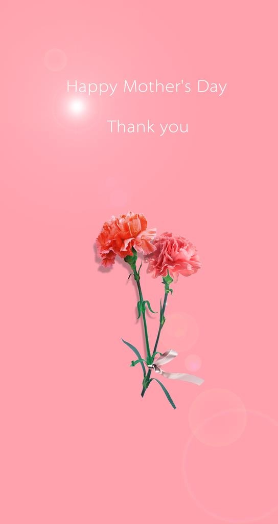 母亲节海报图片(1242x2208)psd模版下载