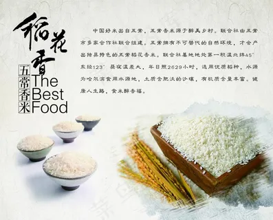 稻花香米图片