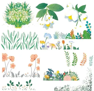 花朵野花野草免扣png图片