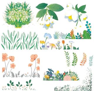 花朵野花野草免扣png图片