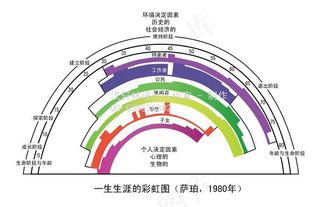 一生生涯彩虹图图片