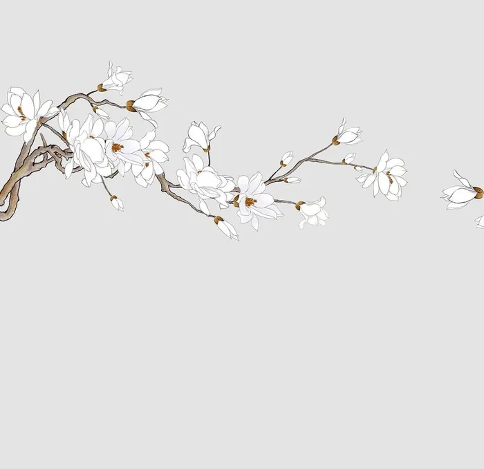 新中式玉兰花图片(5906x5906)psd模版下载