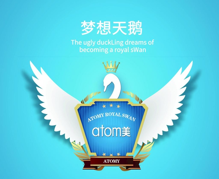 梦想天鹅图片
