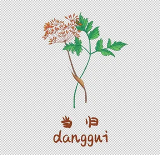 草本植物药材图片