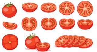番茄插图图片