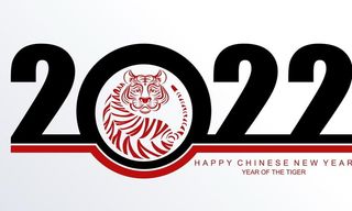2022虎年图片
