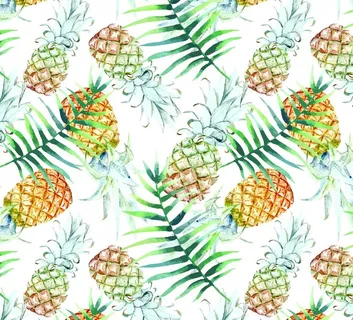 菠萝 叶子 手绘背景图片