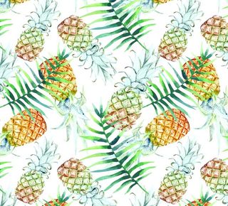 菠萝 叶子 手绘背景图片