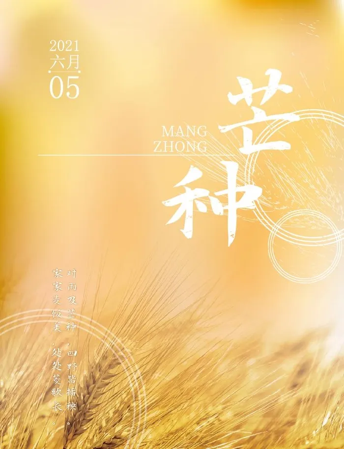 芒种海报图片eps,ai矢量模版下载