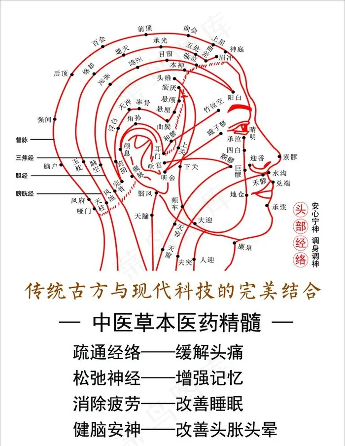 头疗经络图完美结合图片psd模版下载