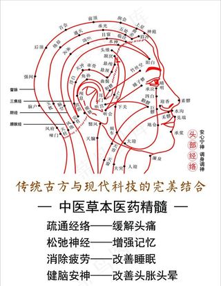 头疗经络图完美结合图片