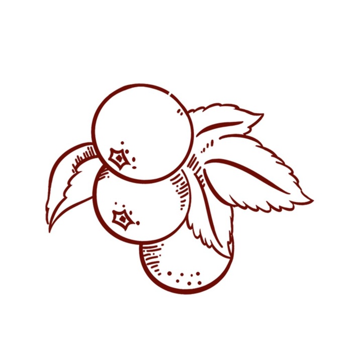 卡通手绘山楂图片